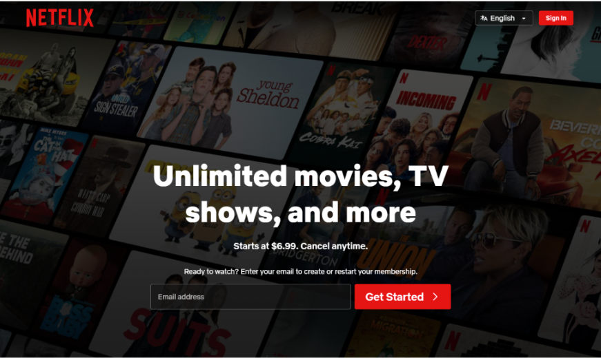 Share a Netflix Account