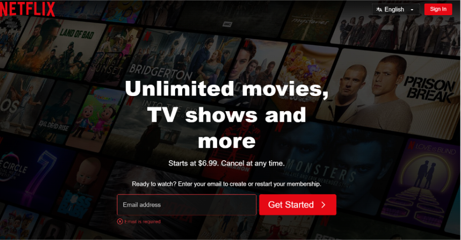 Visit Netflix's Official Website