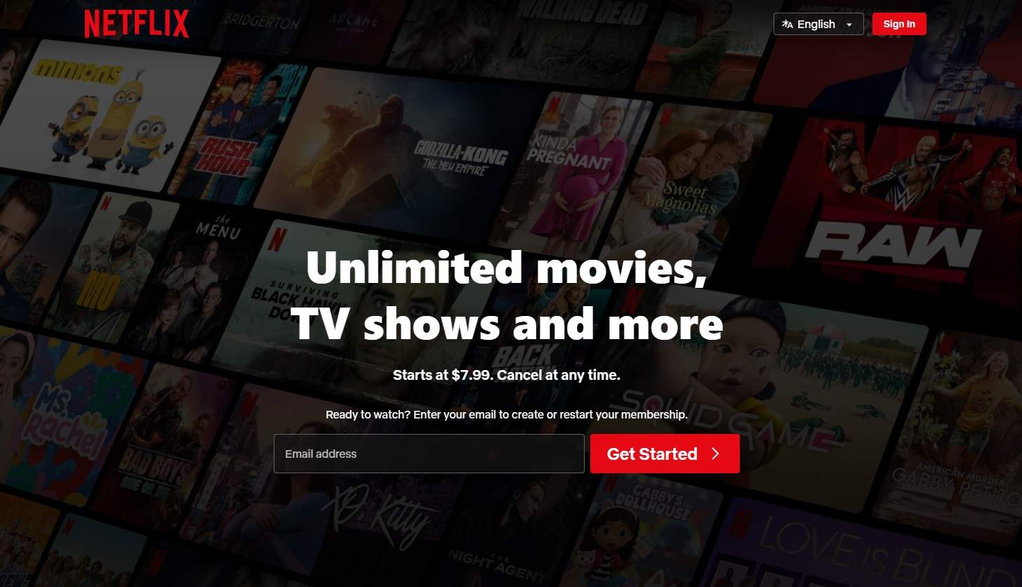 Visit Netflix's Official Website